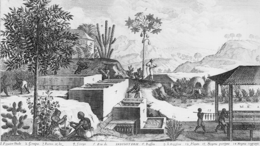 Celebrating Emancipation Day in the Caribbean